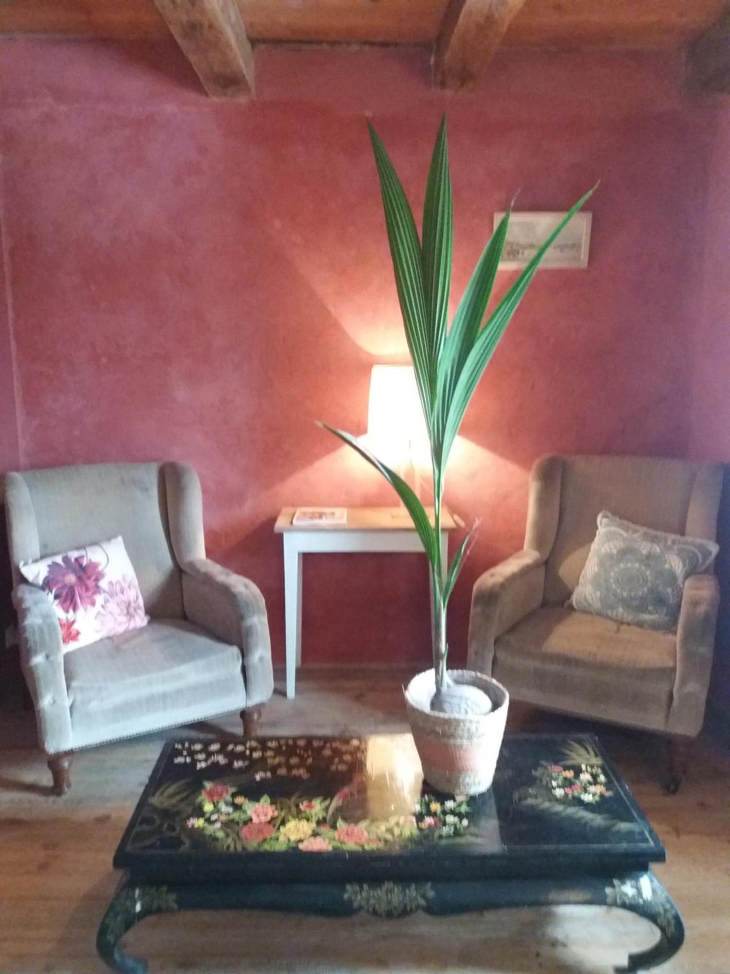 Domaine D'Angel-Berg Hotel Vezins-de-Levezou Phòng bức ảnh